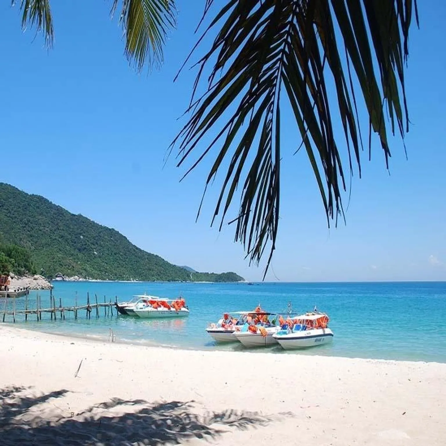 Cham Island Day Trip