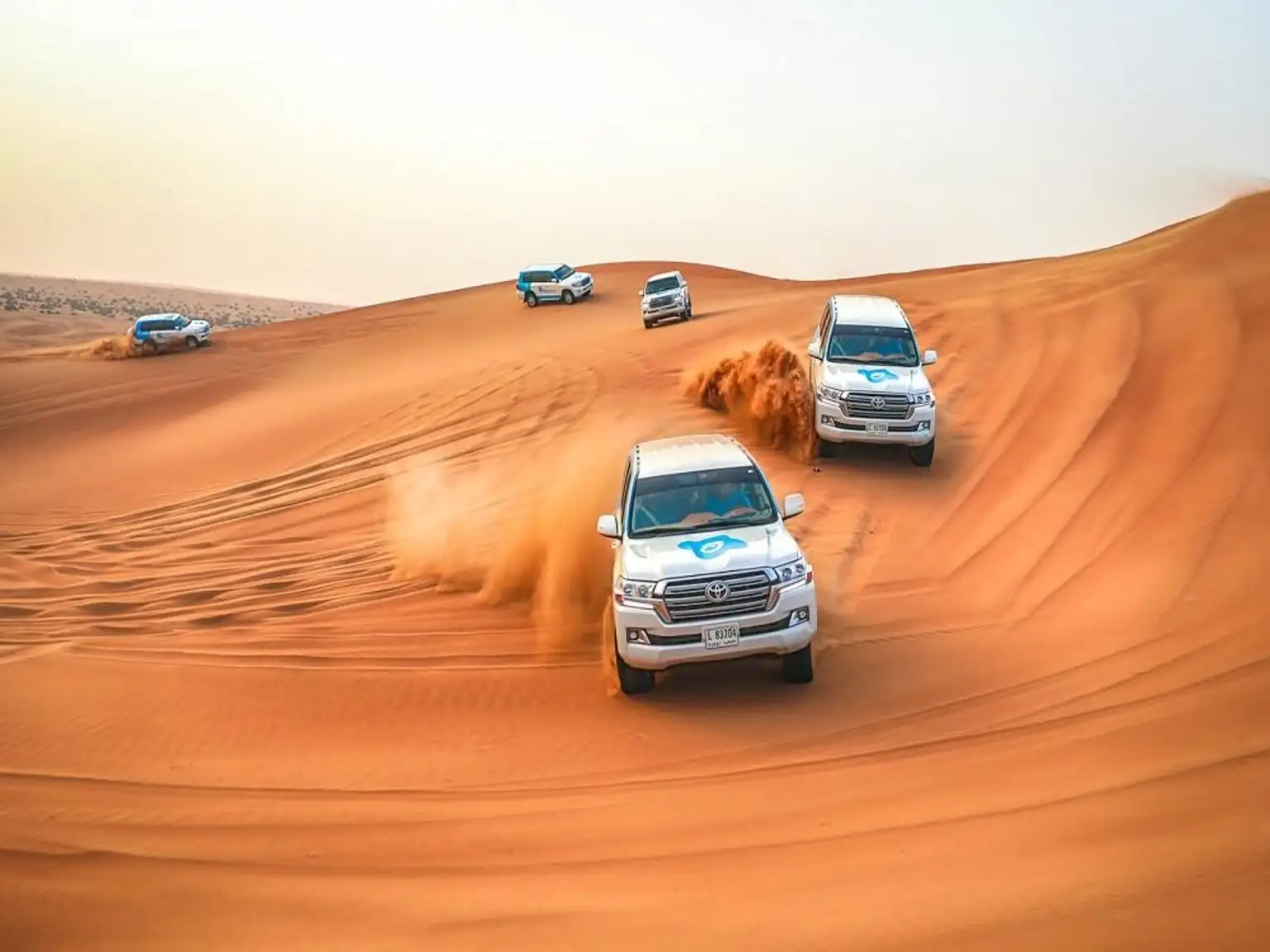 Desert Safari