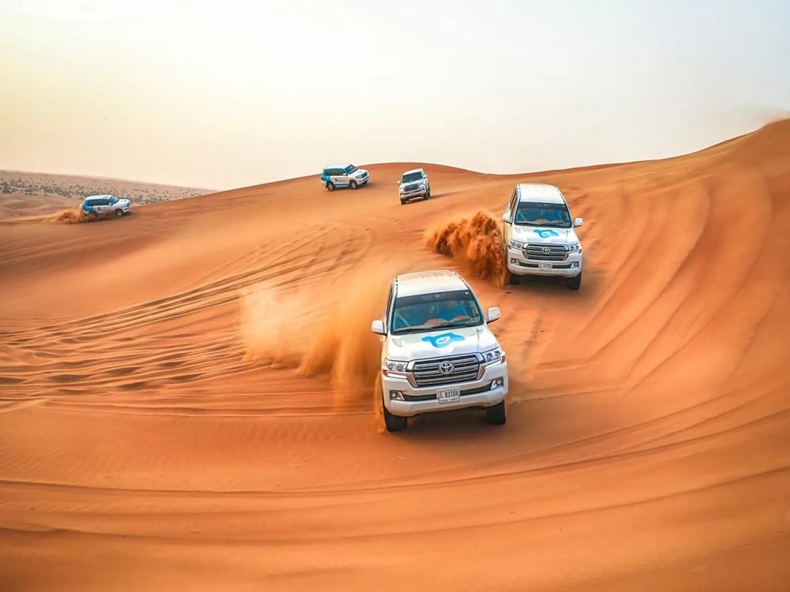 Desert Safari