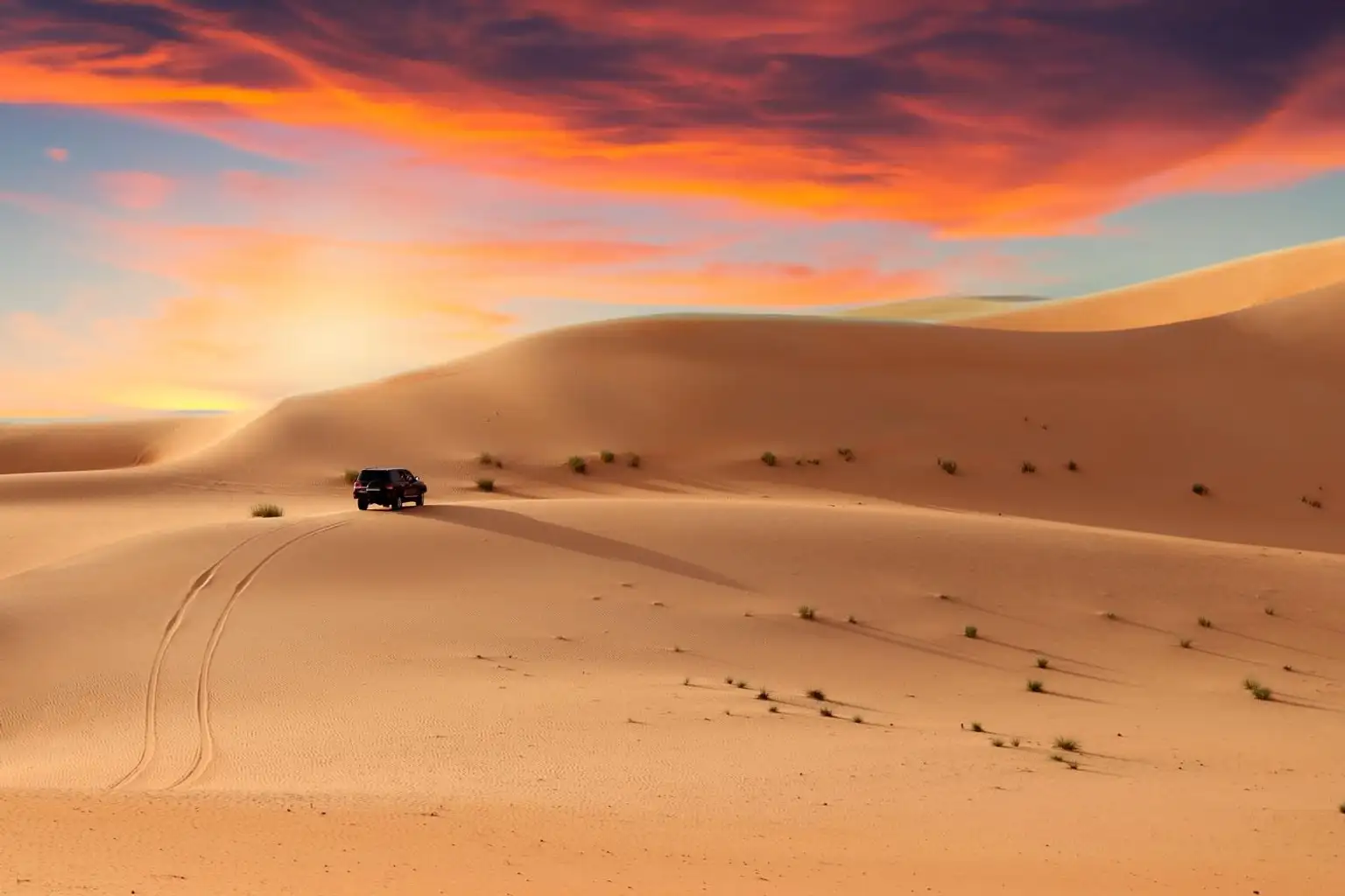 Desert Safari