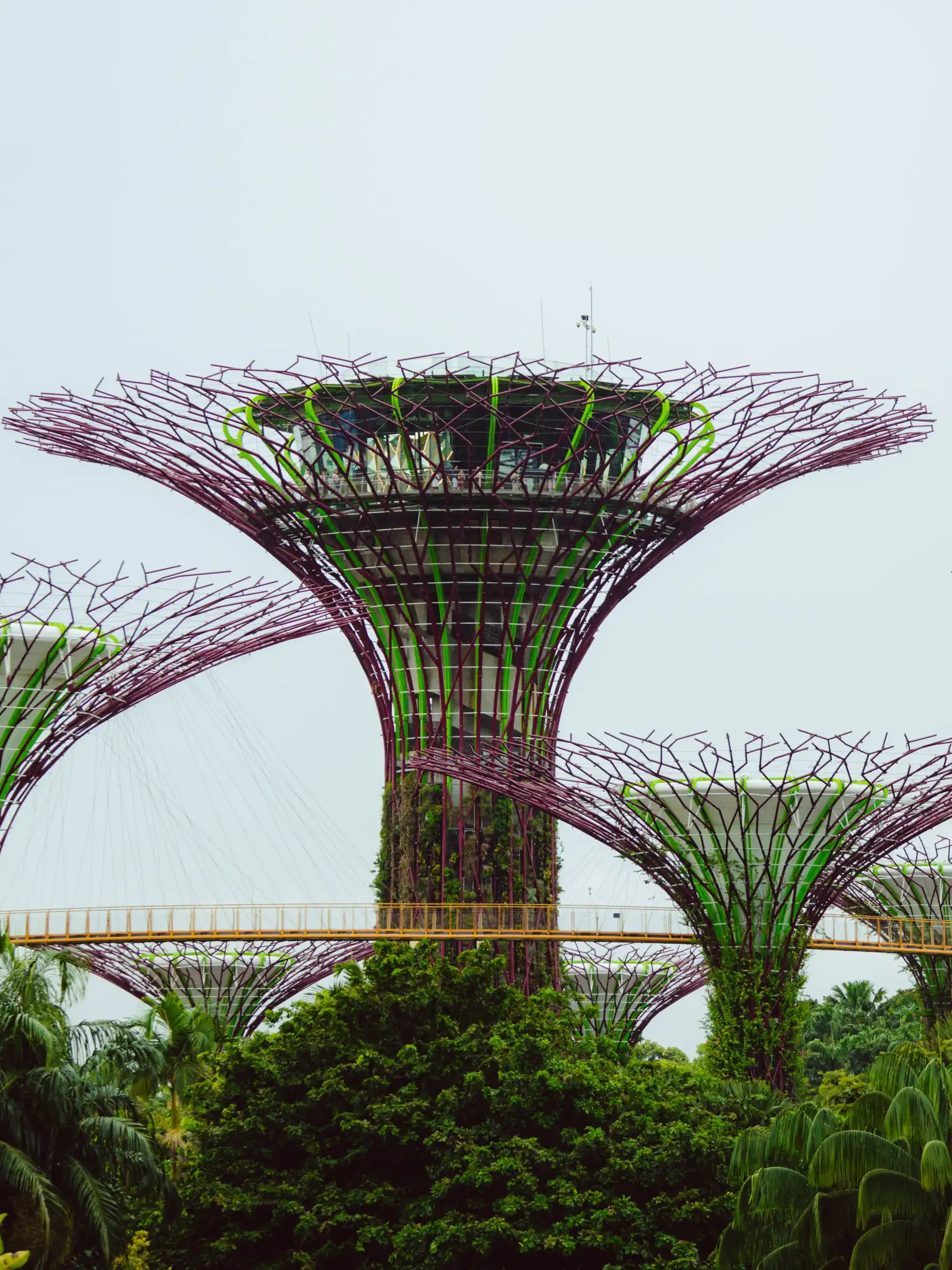 Gardens by the Bay