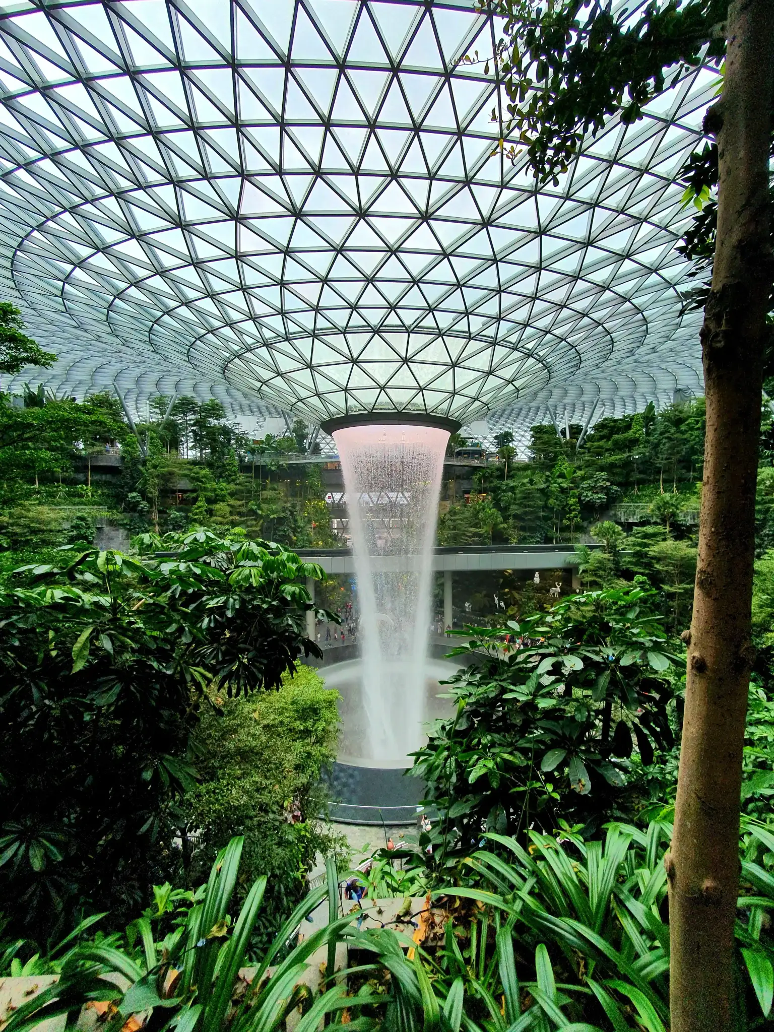 Jewel Changi Airport - Hedge Maze w Canopy Park