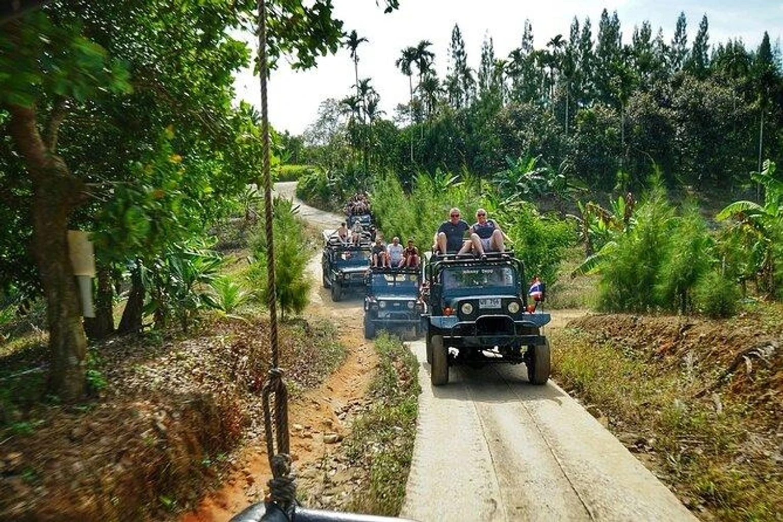 Jungle Safari Jeep Tour