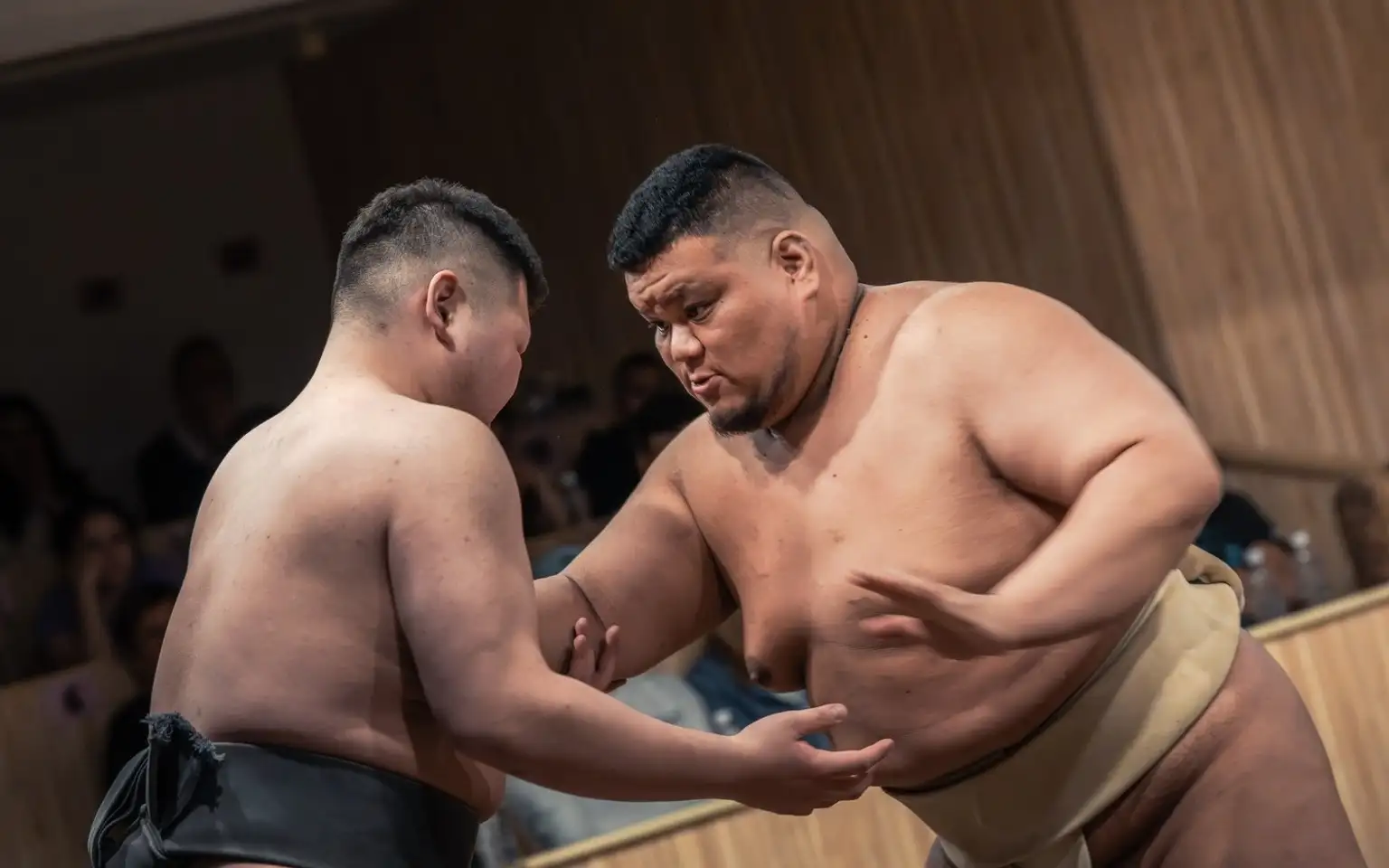 Sumo Live Show with Photo in Shinjuku