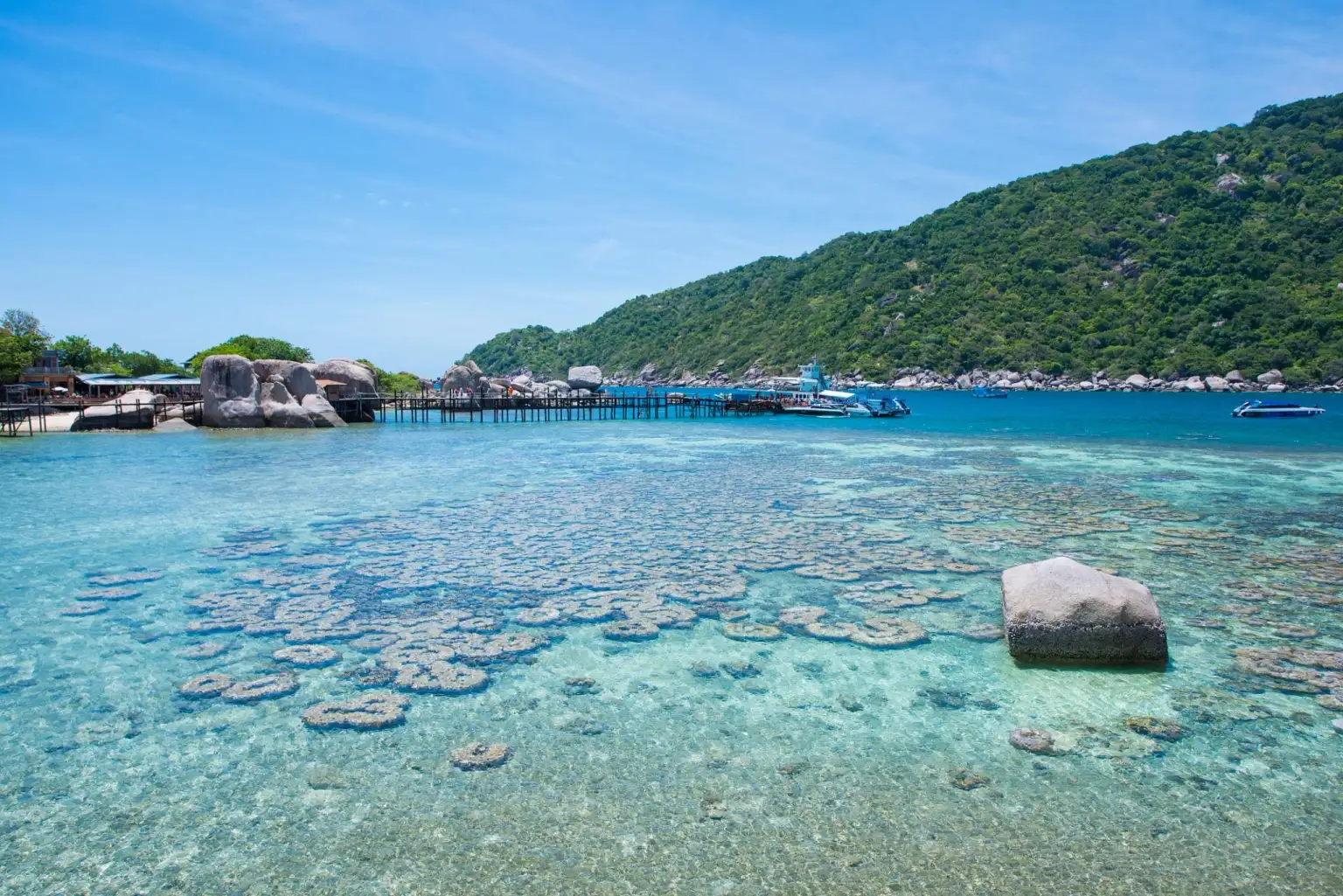 Koh Tao | Koh Nangyuan Island Tour