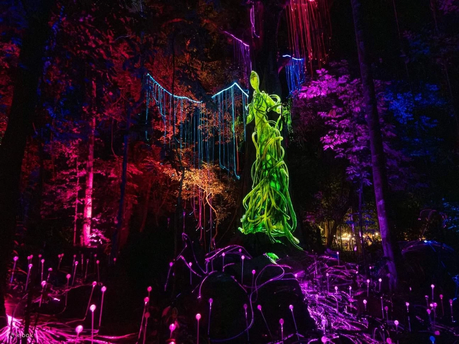 Dream Forest