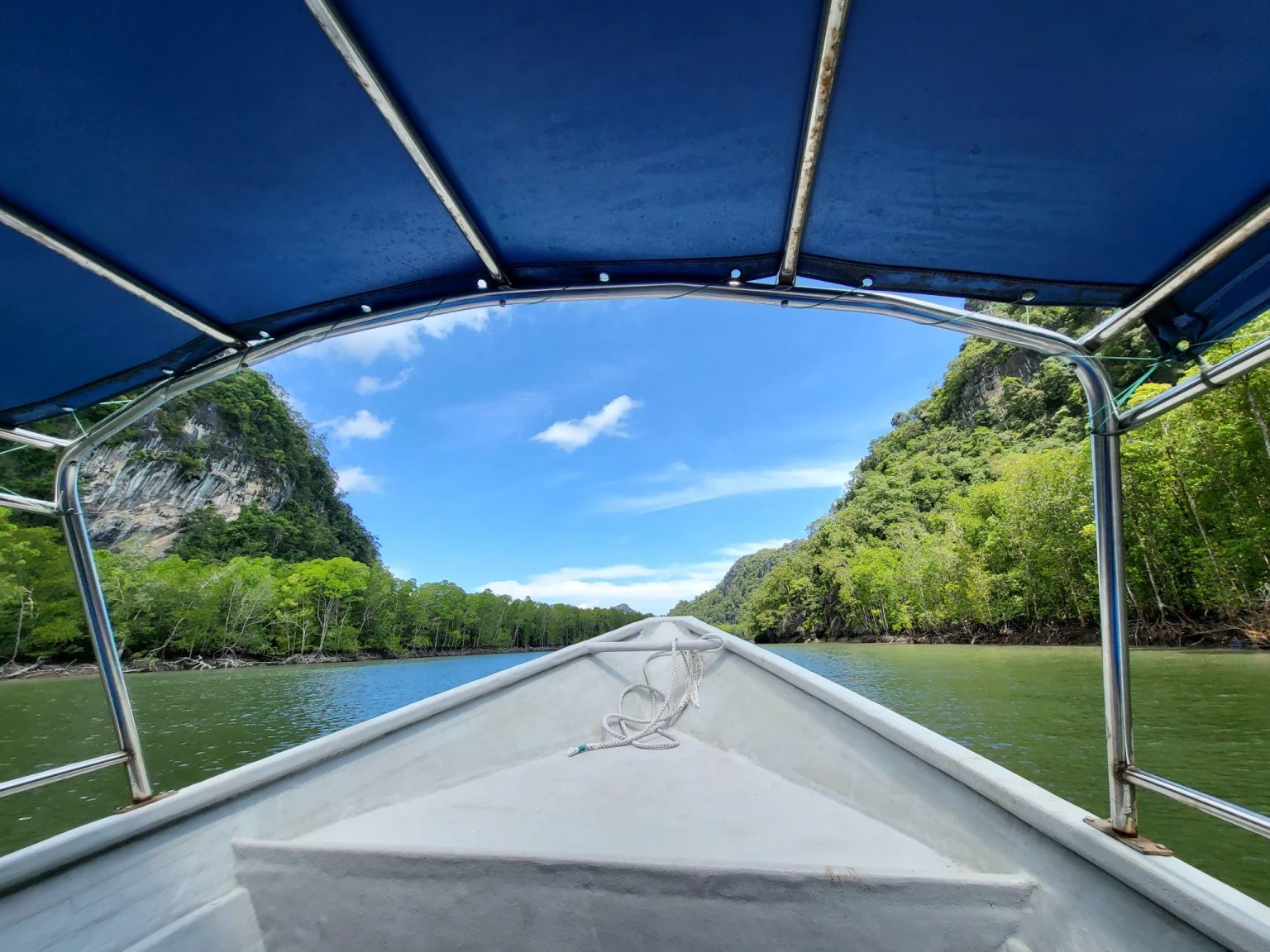 Mangrove and Cave Exploring