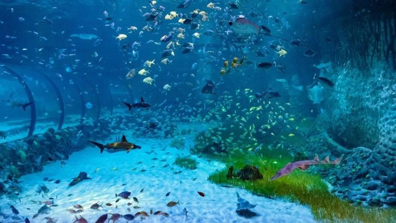 National Aquarium