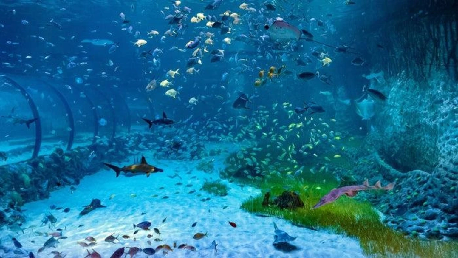 National Aquarium