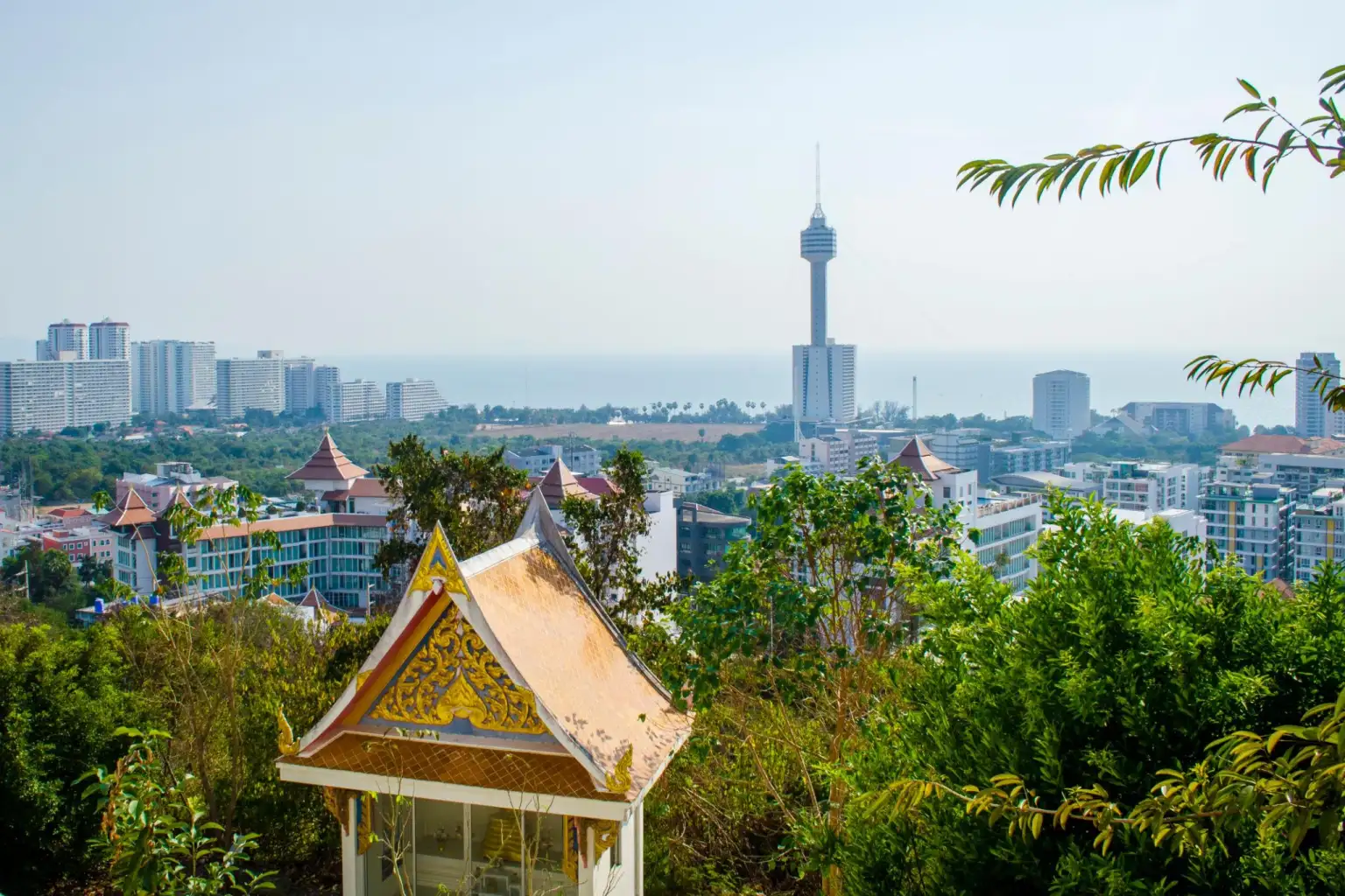 City Tour - Gems gallery | View point
