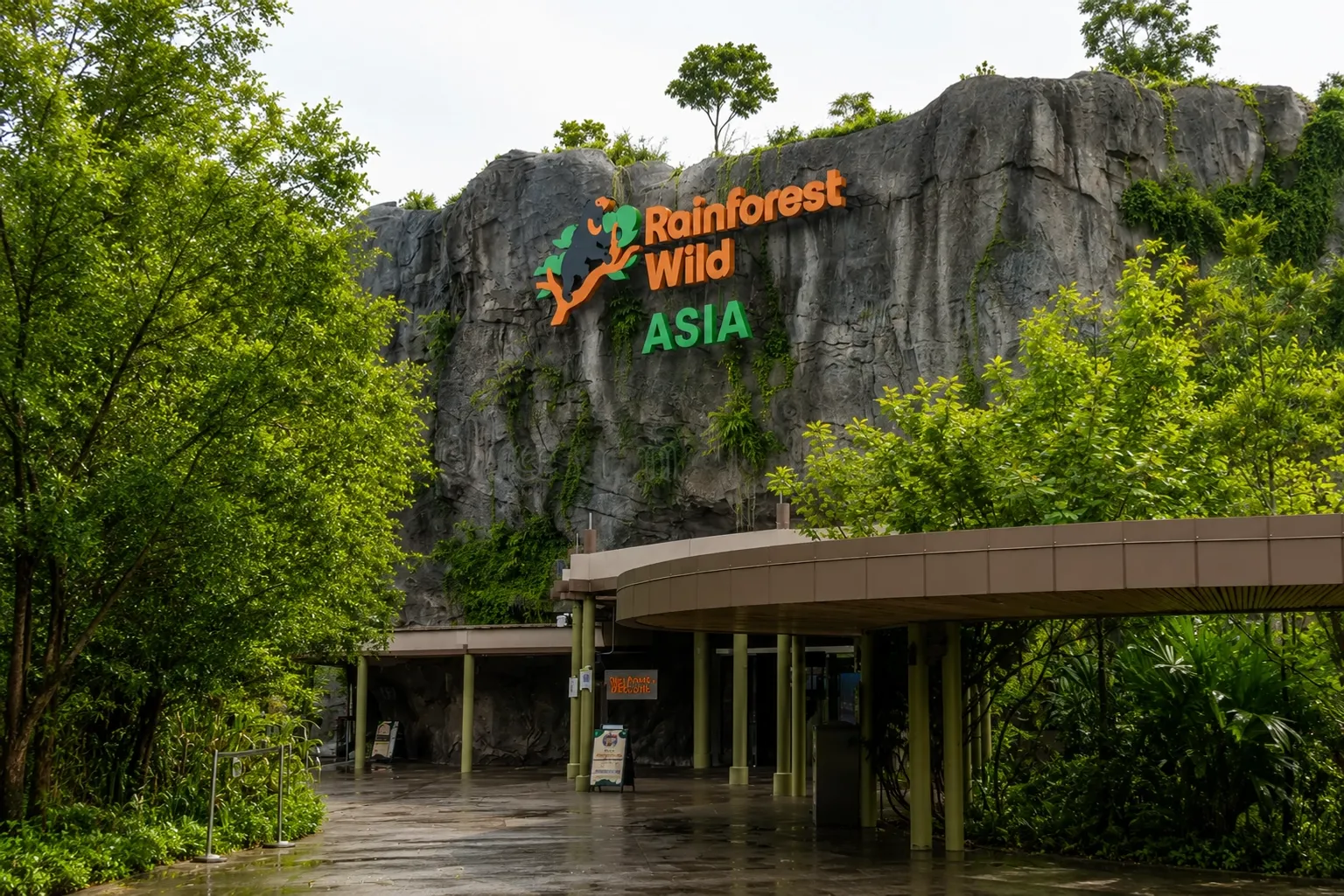 Rainforest Wild Asia