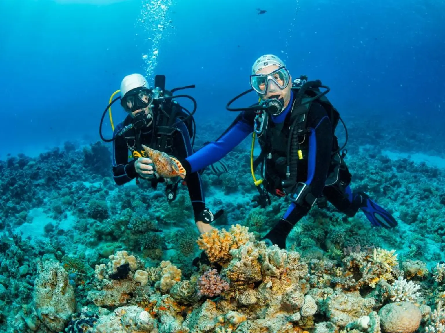 Scuba Dive · Parasailing · Jet Ski