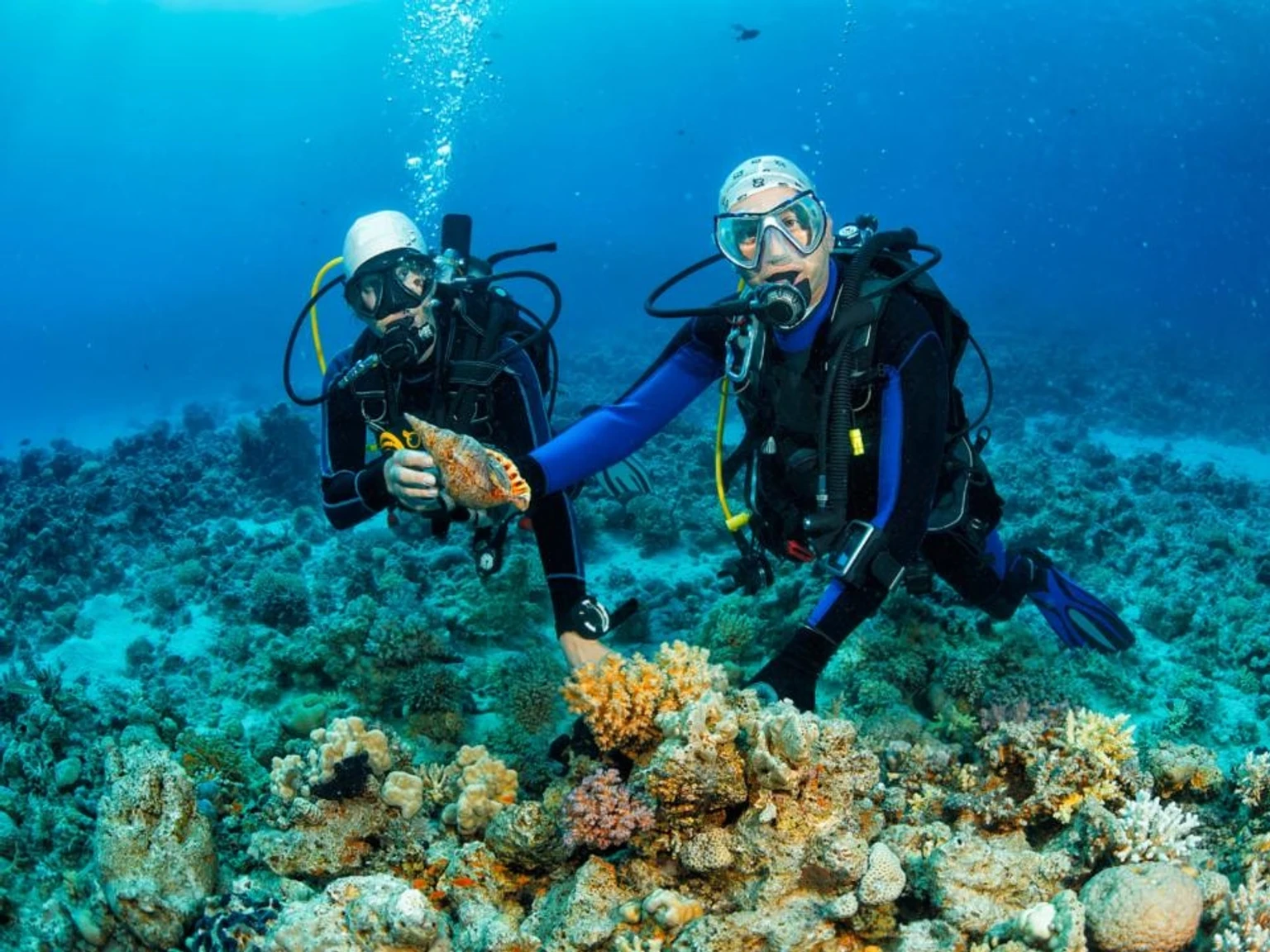 Scuba Dive · Parasailing · Jet Ski