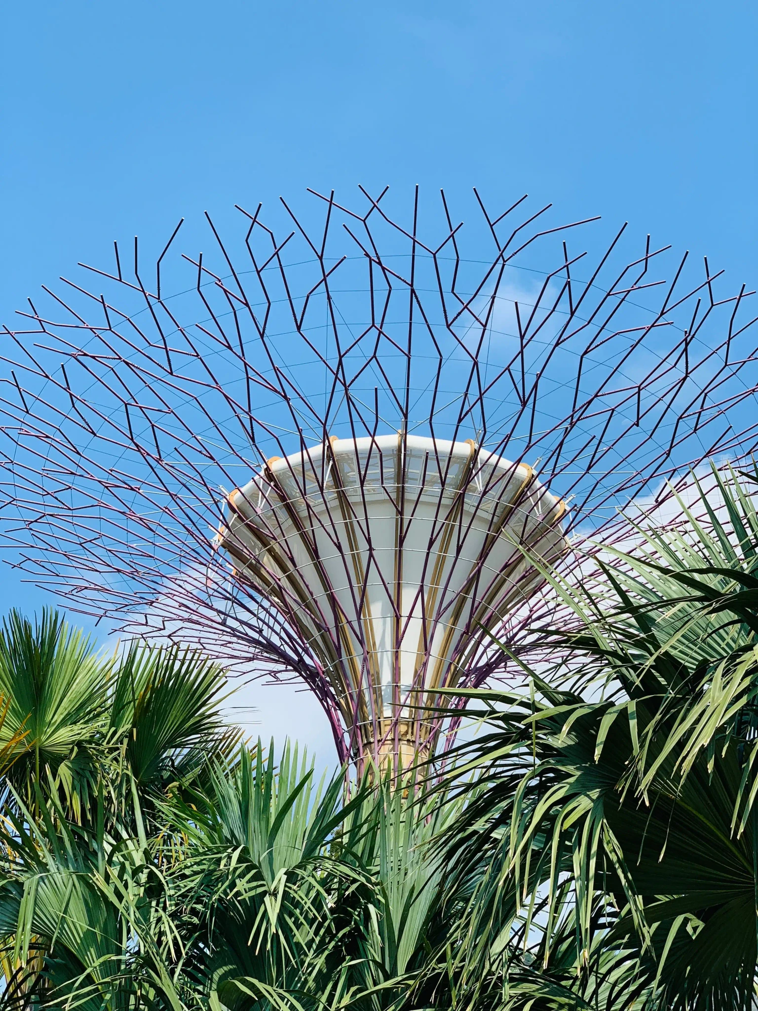 Supertree