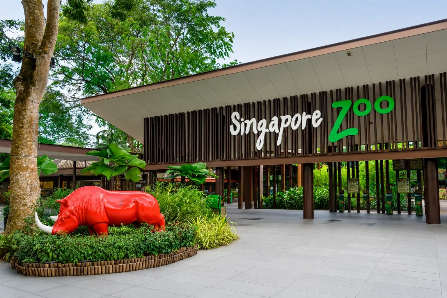 Singapore Zoo | Night Safari
