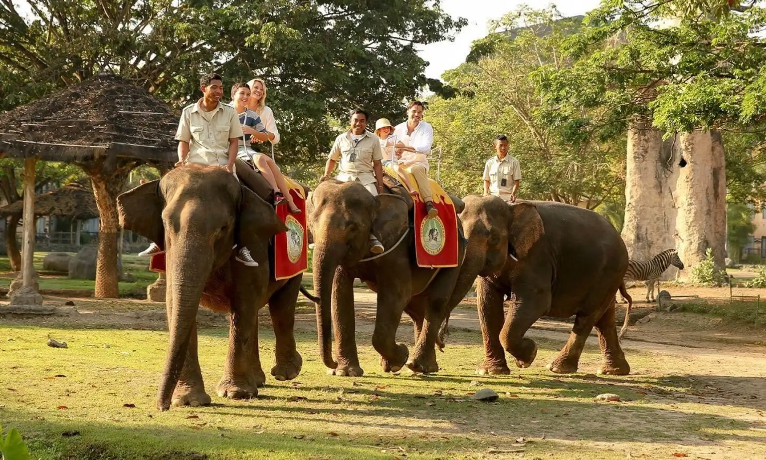 Taman Safari - Elephant Back Safari Pass