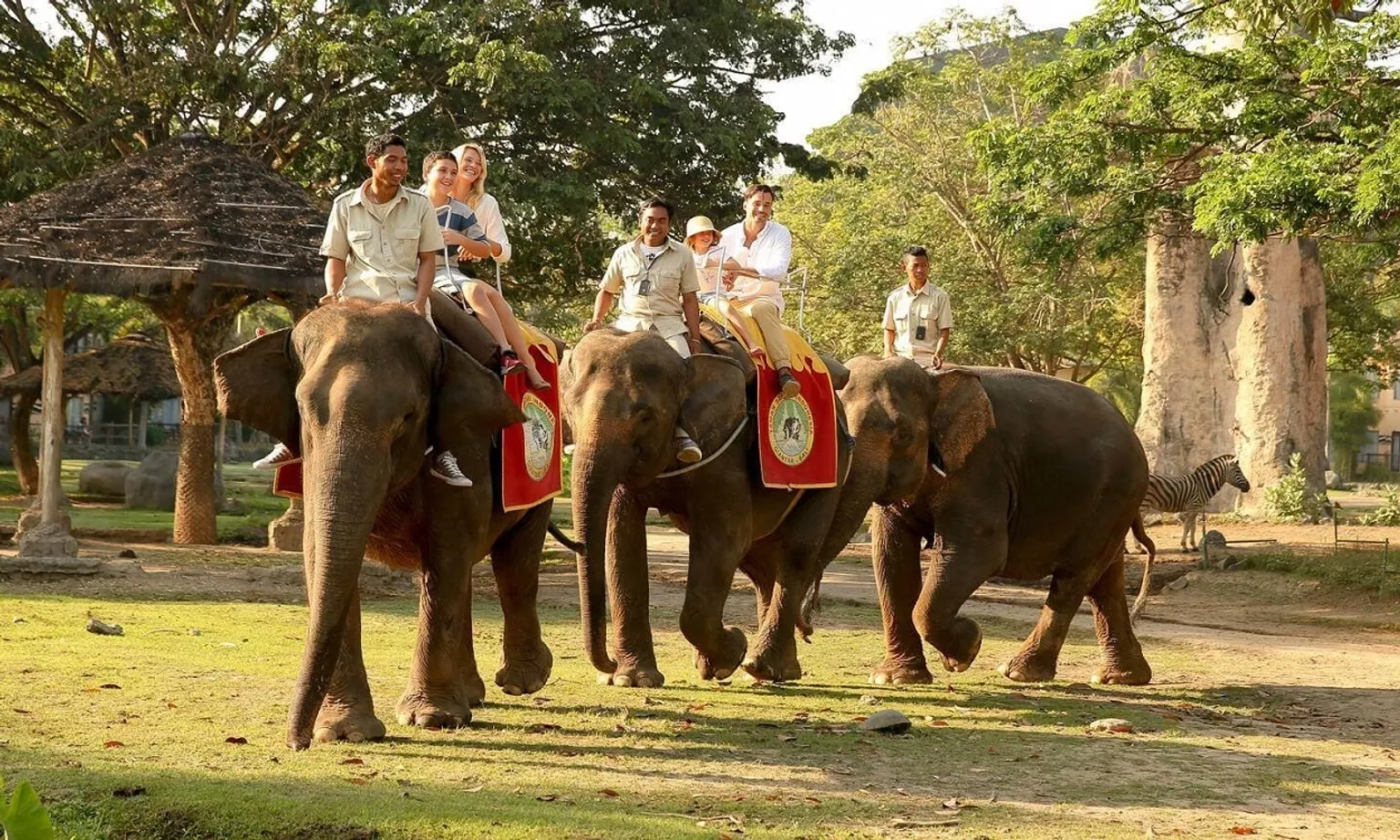 Taman Safari - Elephant Back Safari Pass