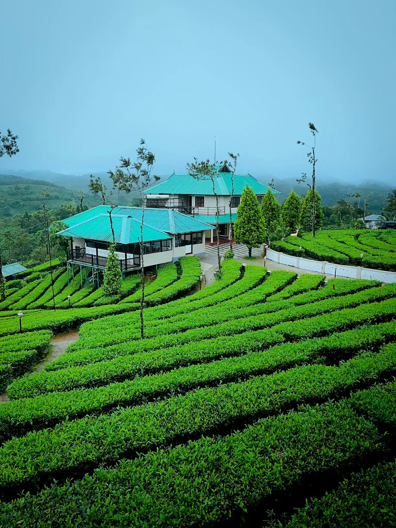 Tea Museum