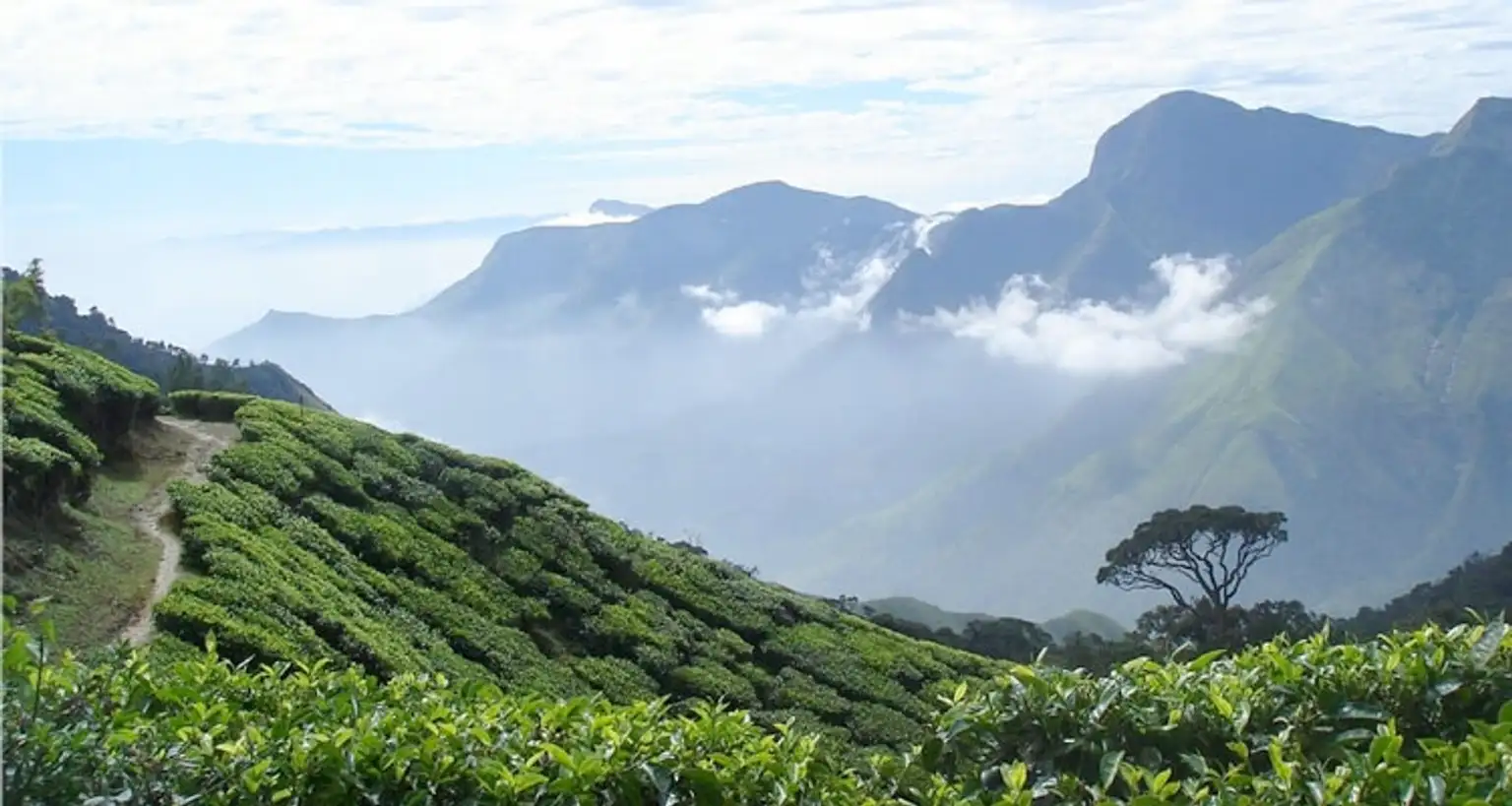 Top Station Munnar