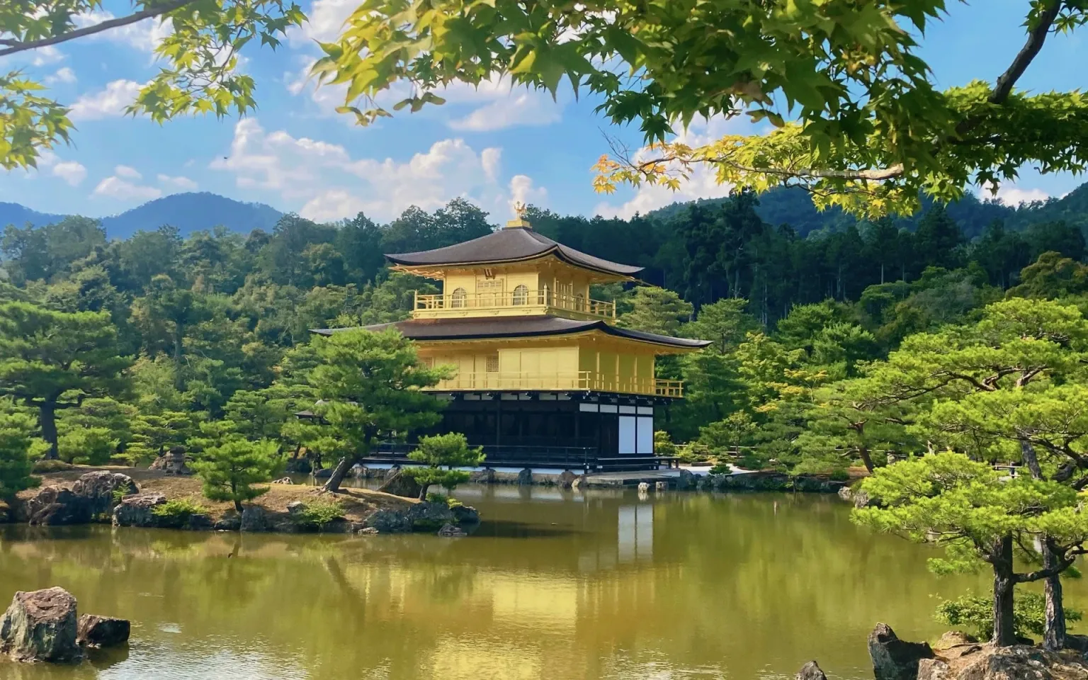 Kyoto and Nara Day Tour (Optional upgrade to Wagyu “Kobe Beef” lunch)