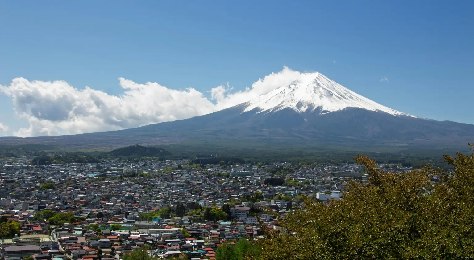 Guided Tour Mount Fuji | Hakone - Return by Motorcoach