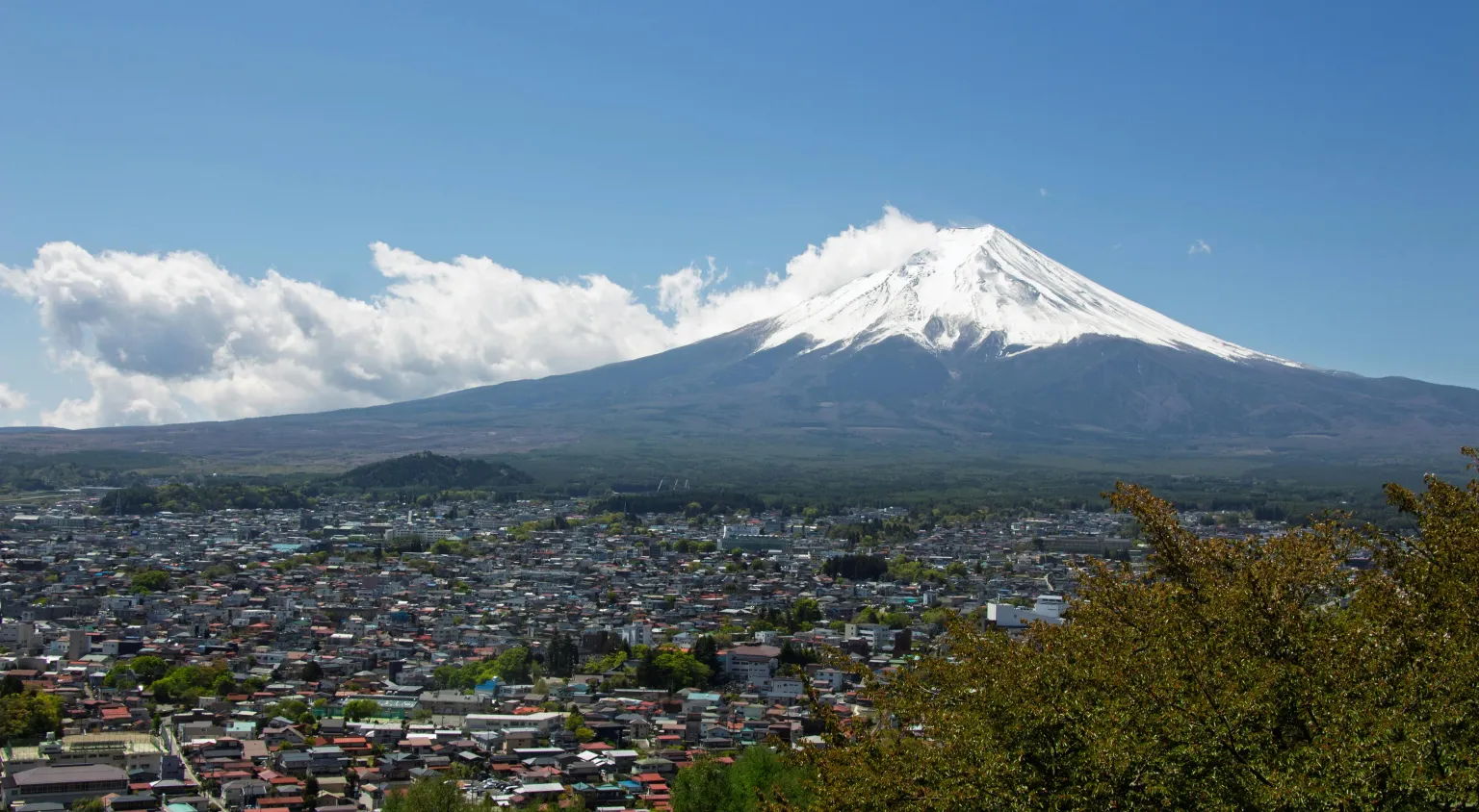 Guided Tour Mount Fuji | Hakone - Return by Motorcoach