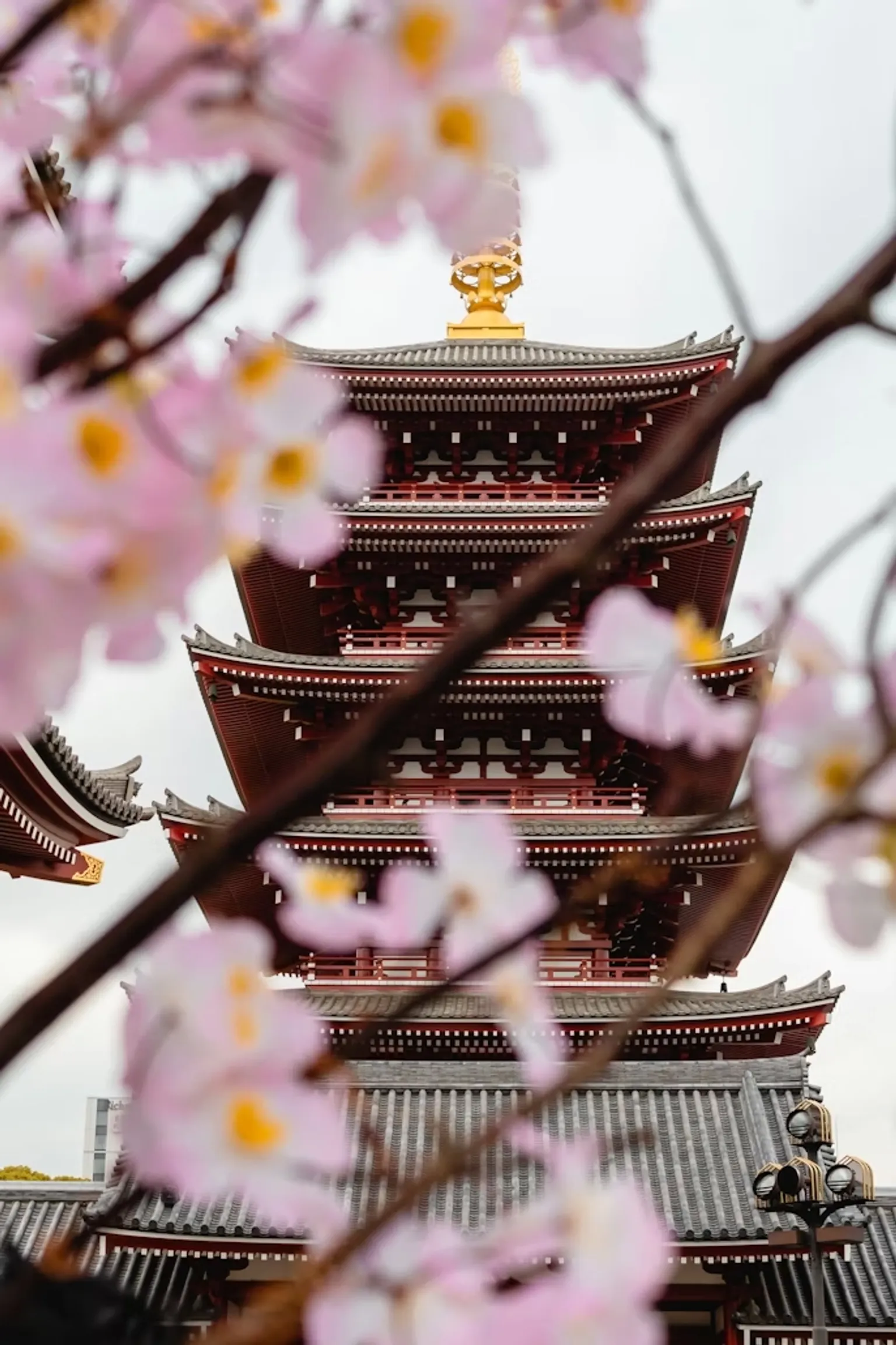 Tokyo City Customized Day Trip