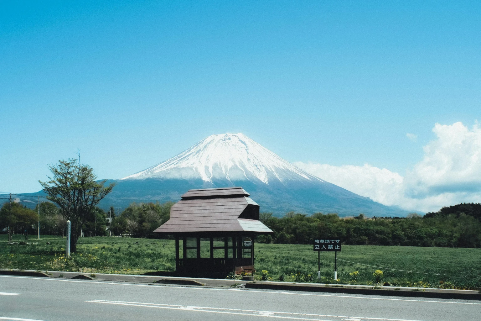 Mount Fuji & Hakone Day Tour