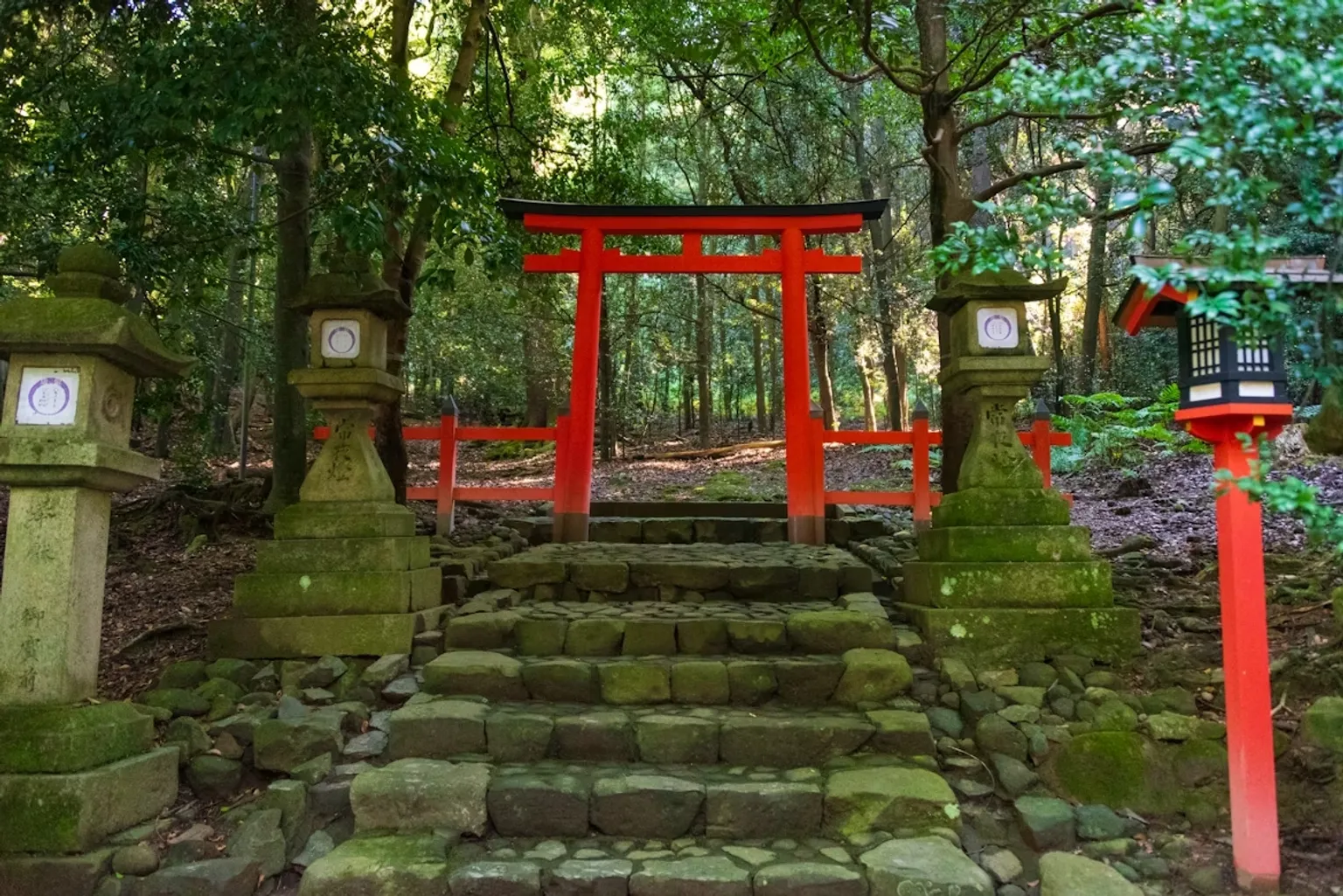 Kyoto Arashiyama Fushimi Inari | Nara Deer Day Tour