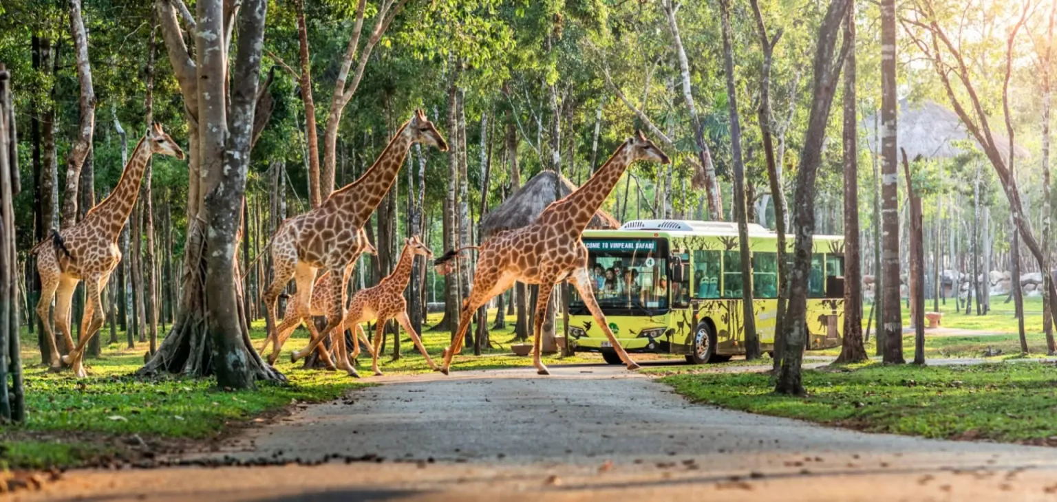 Vinpearl Safari