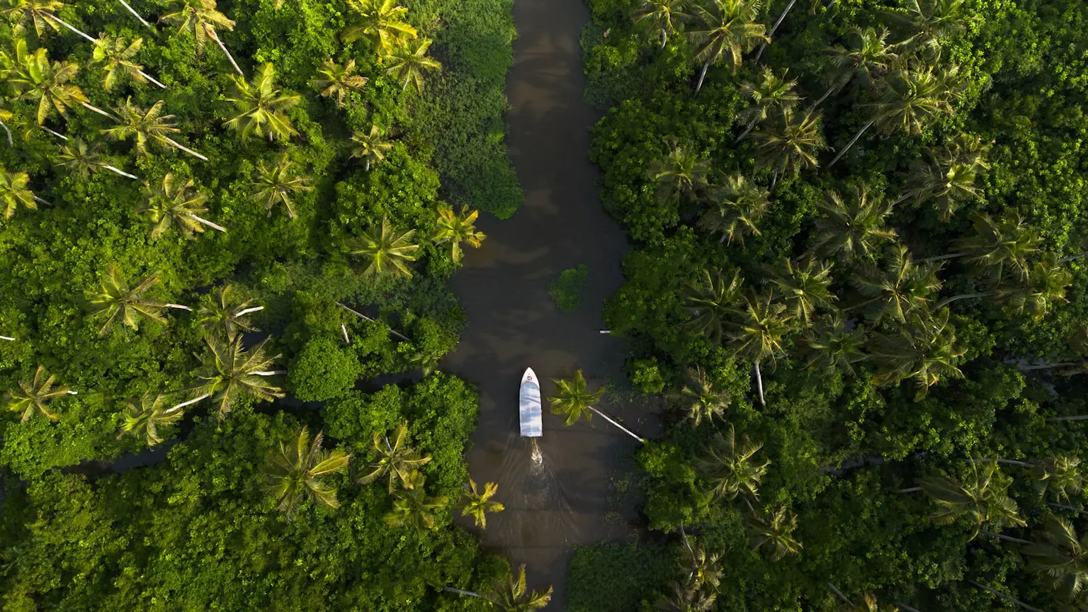 Kerala Tour Packages