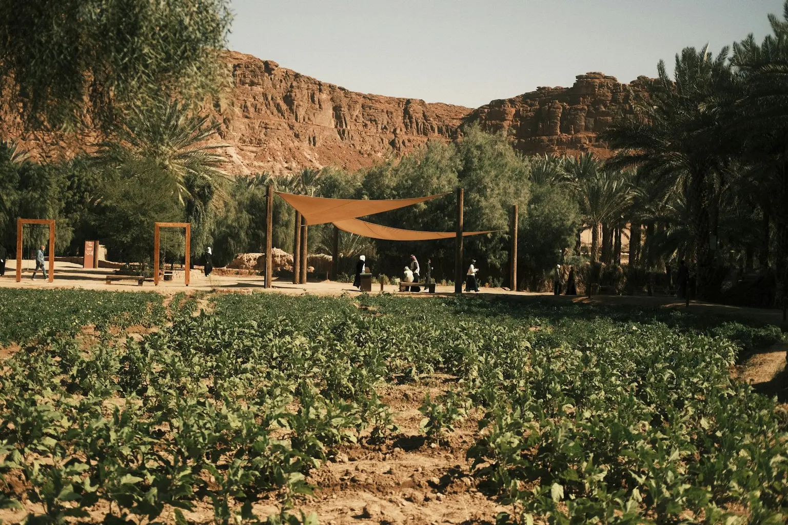 AlUla Tour Packages