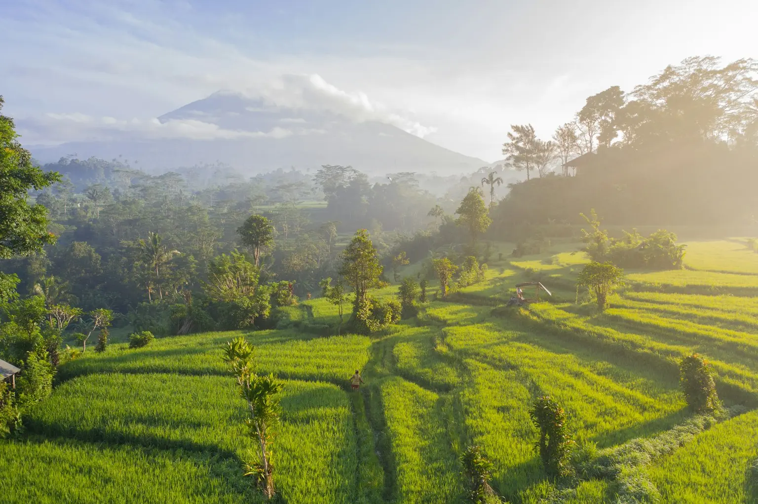 Bali Tour Packages