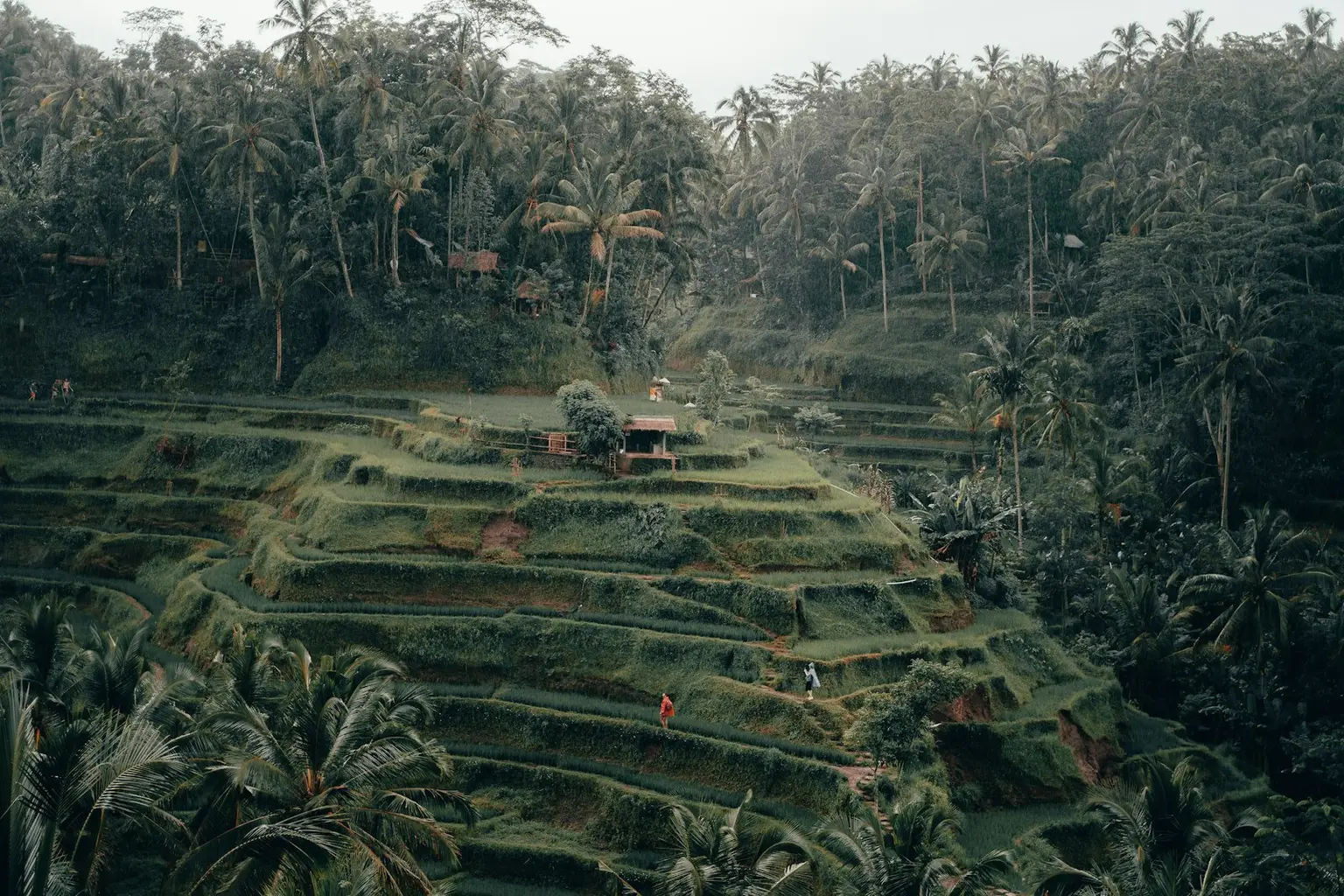 Bali Tour Packages