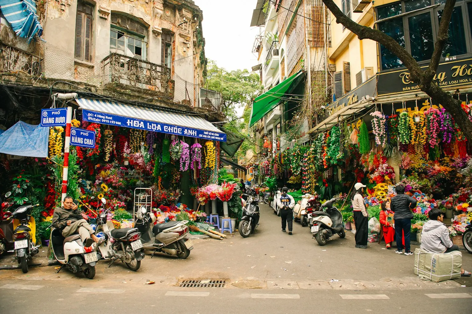 Vietnam Tour Packages
