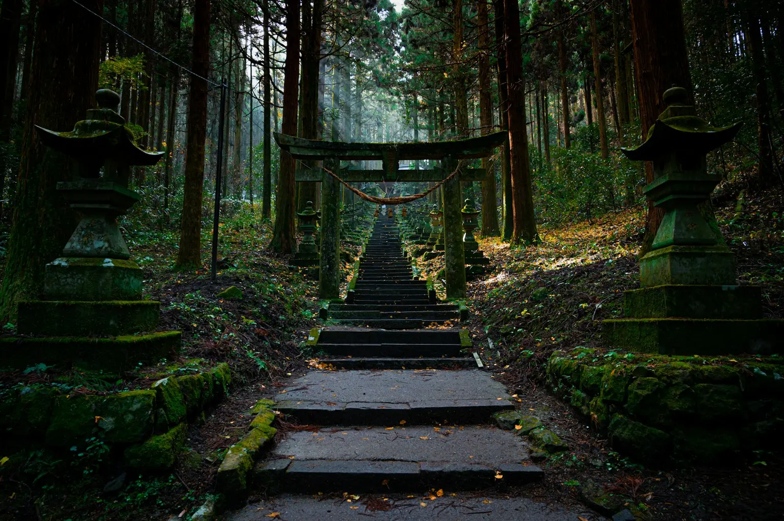 Japan Tour Packages