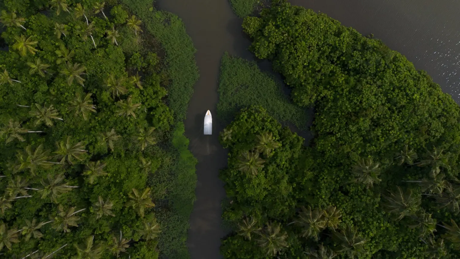 Kerala WILDLIFE Tour Packages