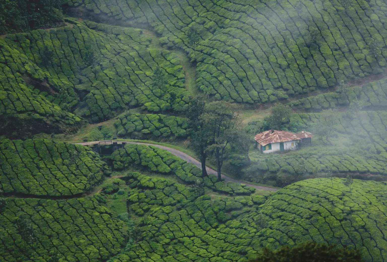 Kerala Tour Packages