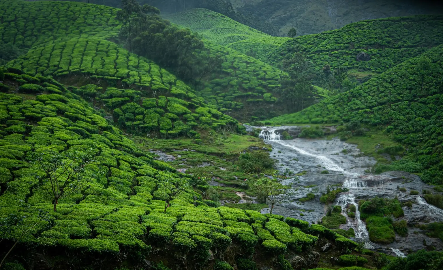 Kerala Tour Packages