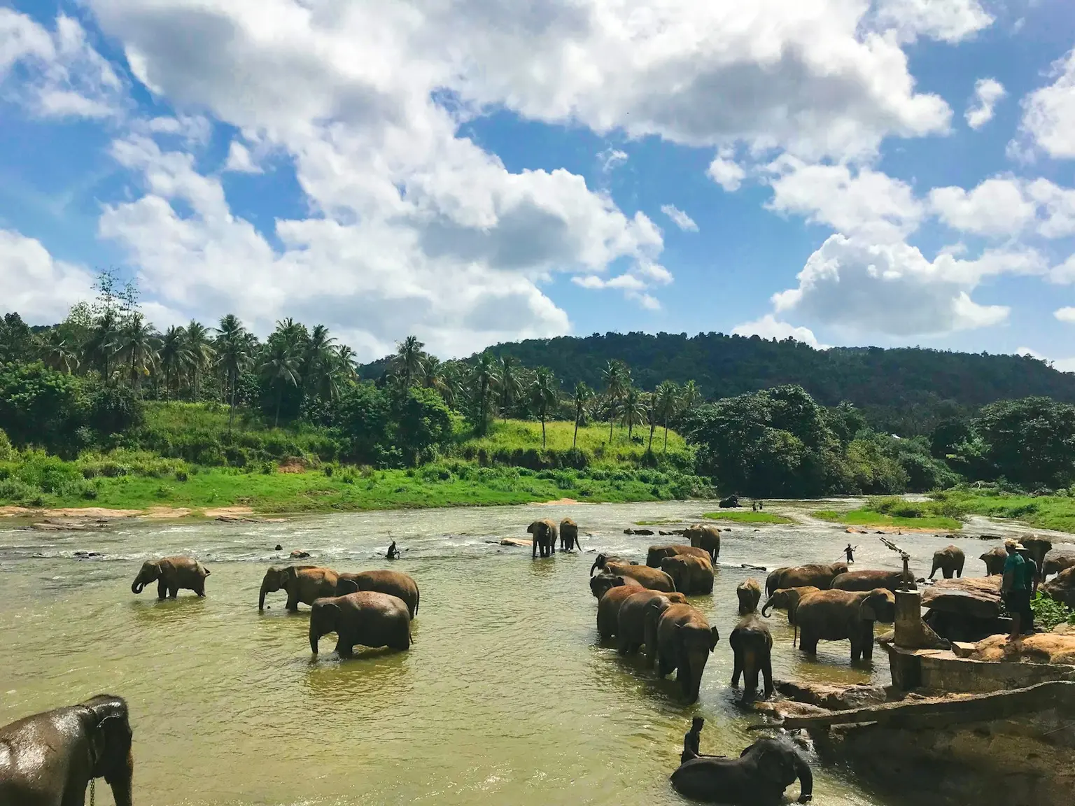 Sri Lanka Tour Packages
