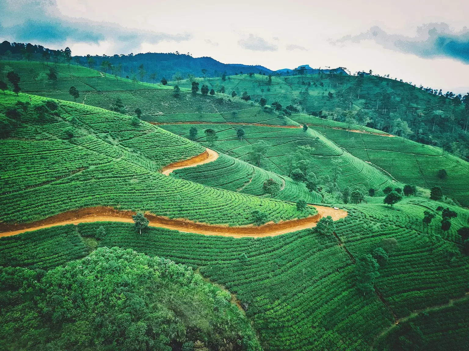 Sri Lanka Tour Packages