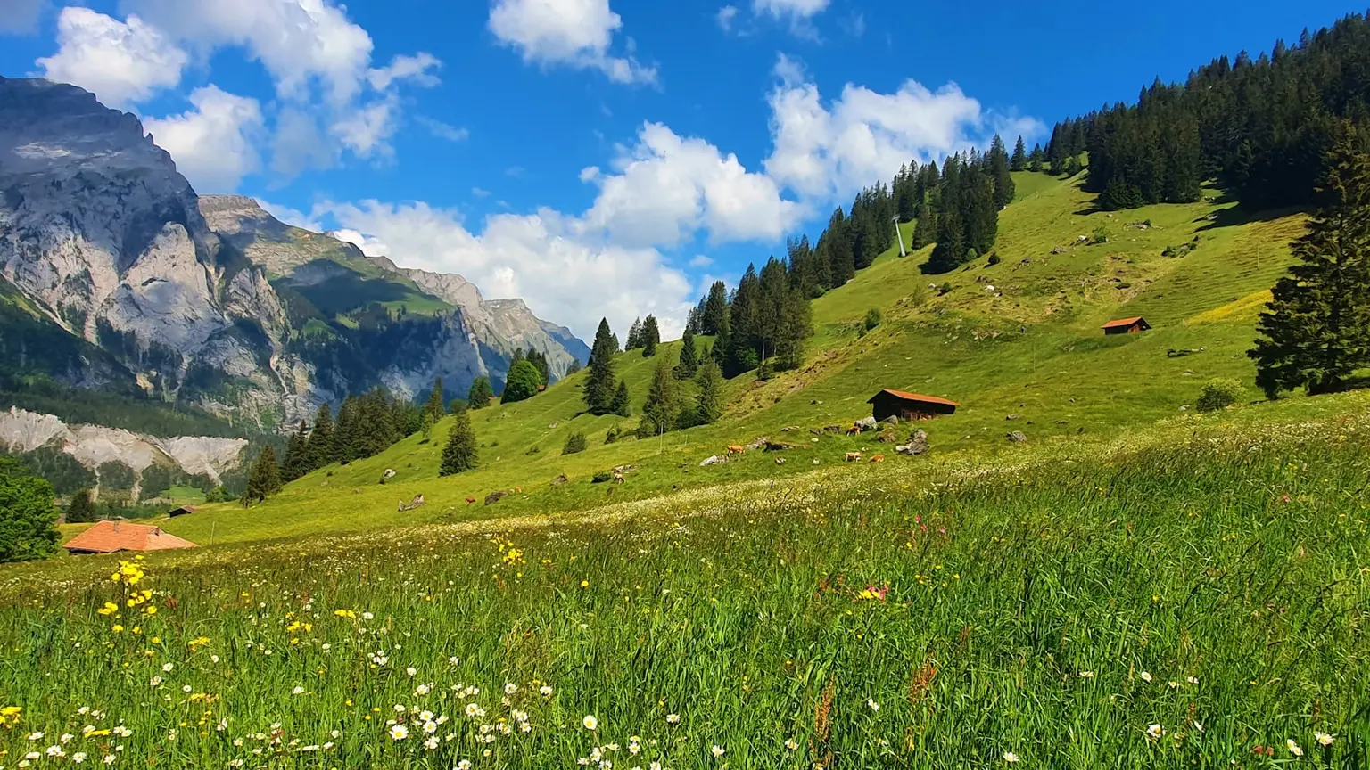 Switzerland Tour Packages