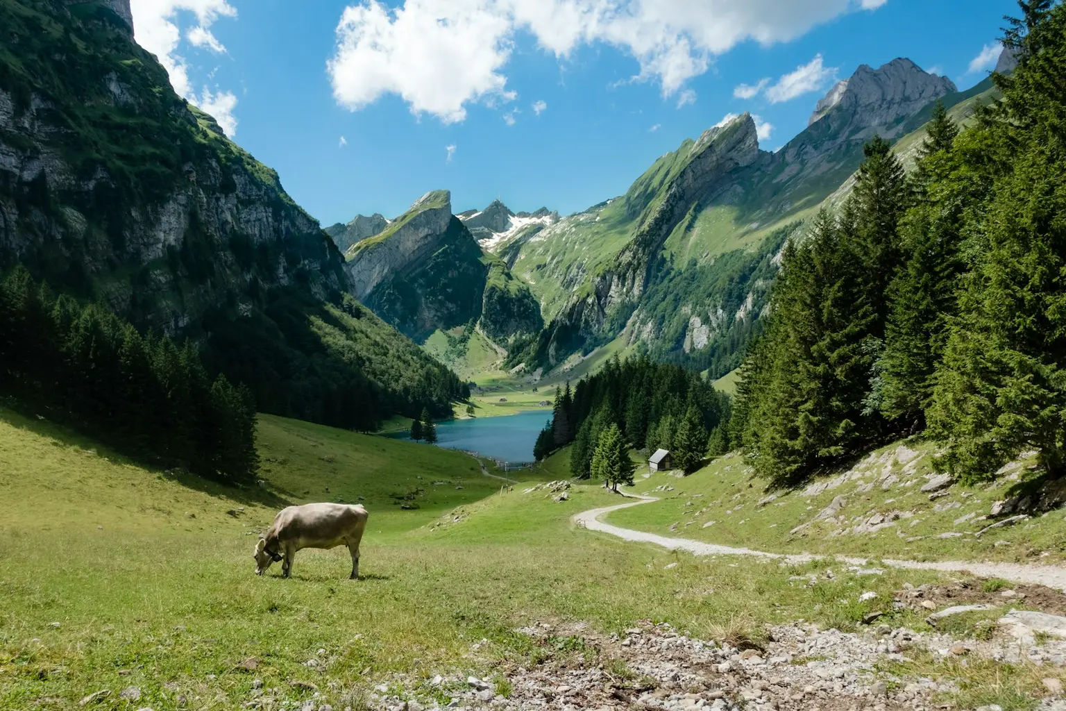 Switzerland Tour Packages
