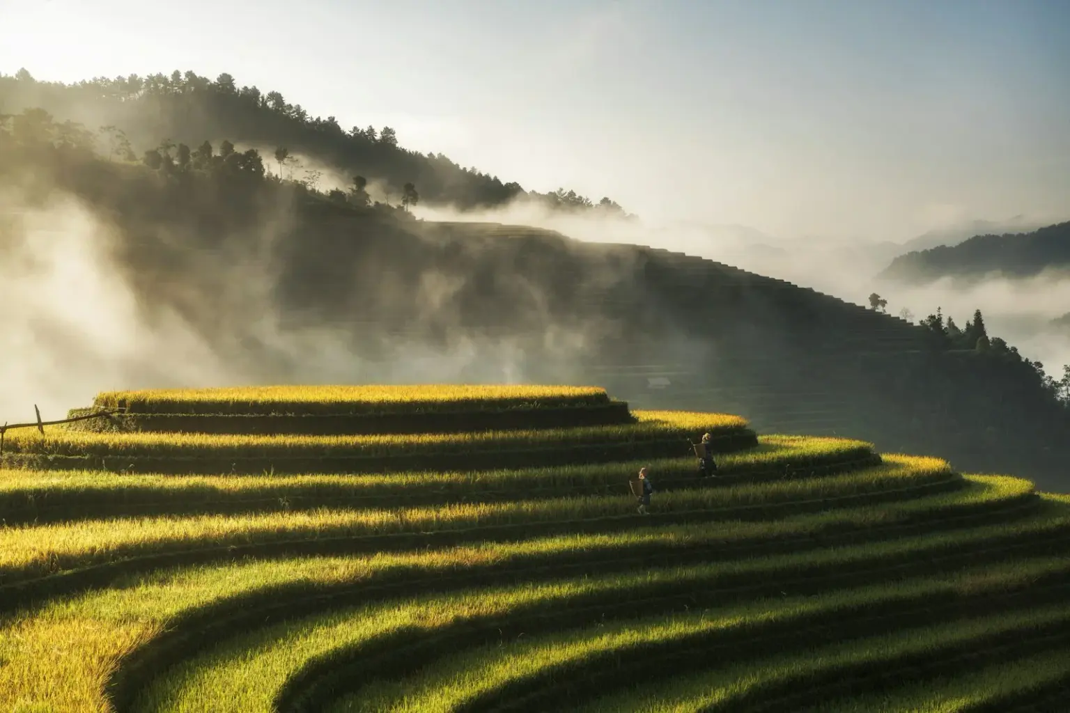 Vietnam Culture Tour Packages