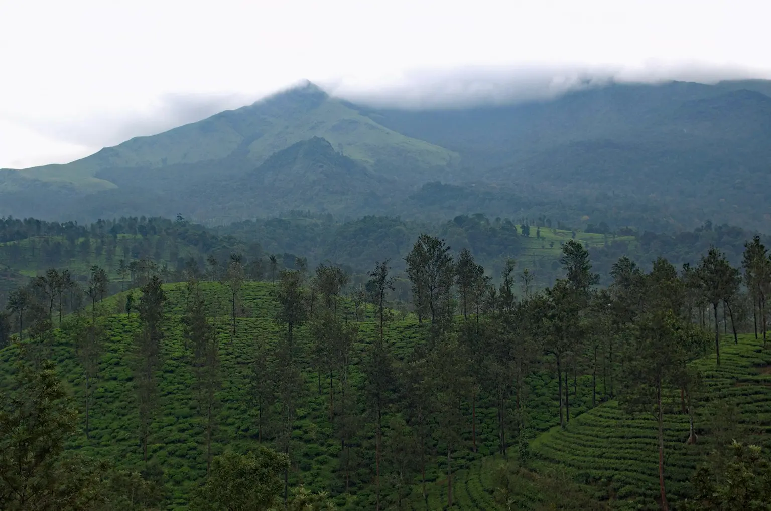 Kerala Tour Packages