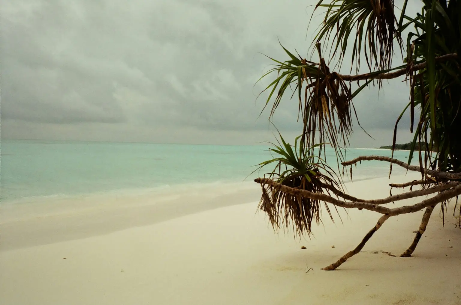 Maldives Tour Packages
