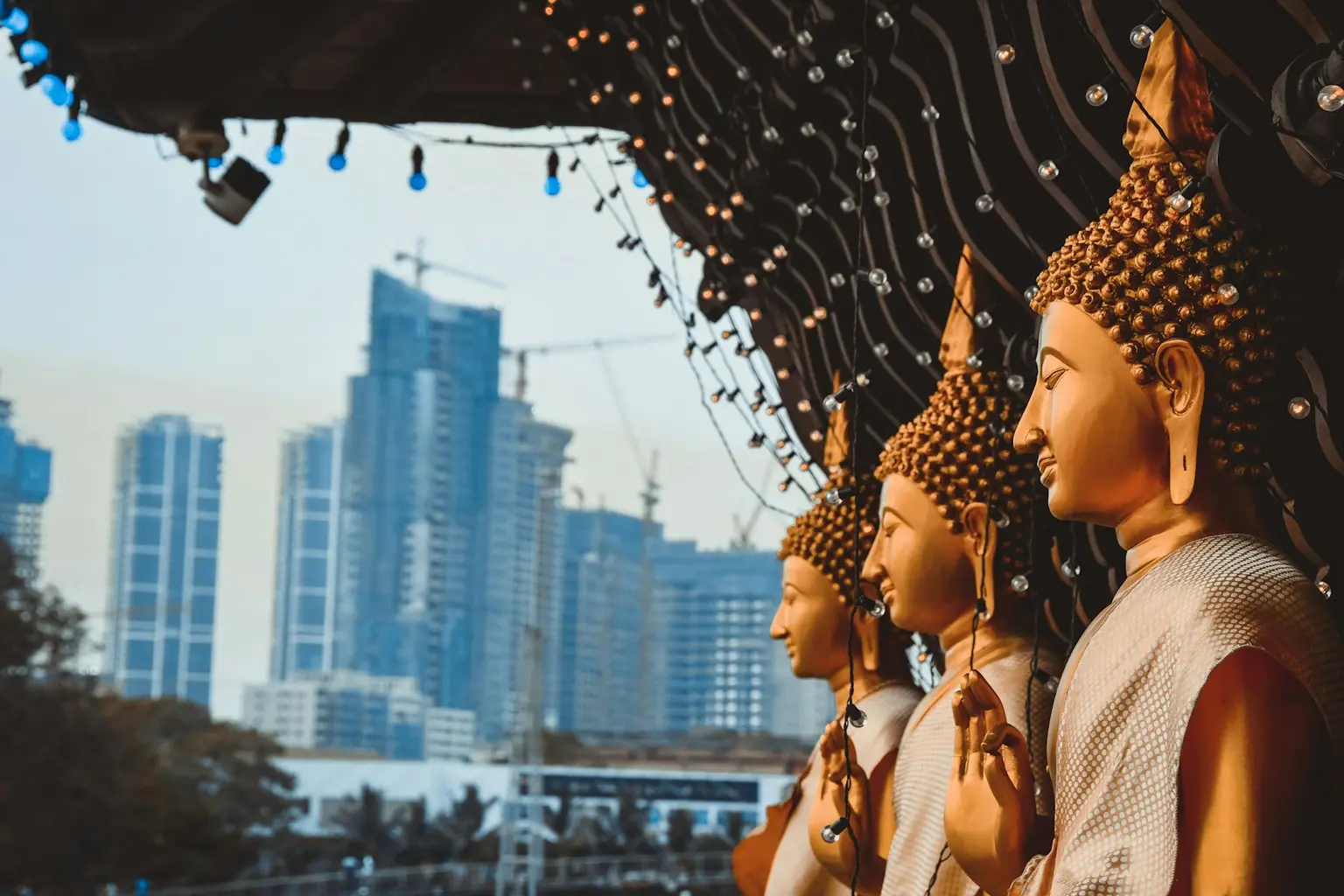 Sri Lanka Tour Packages