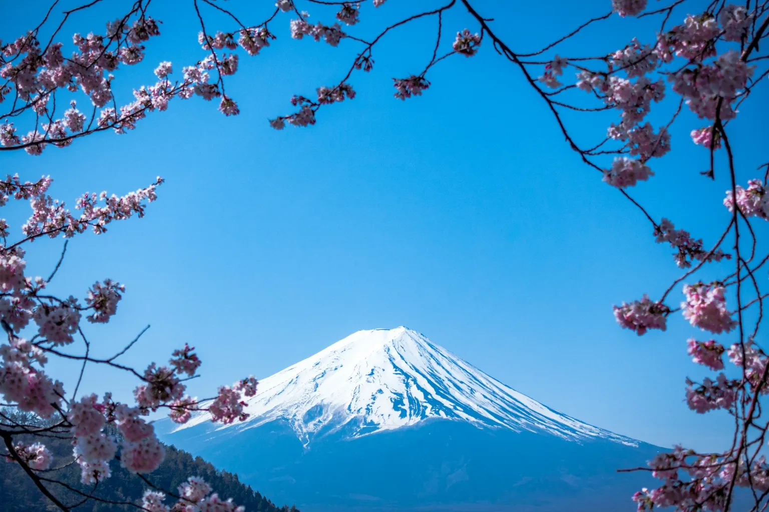 Japan Tour Packages
