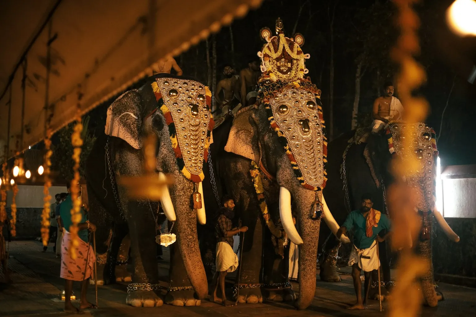 Kerala Tour Packages