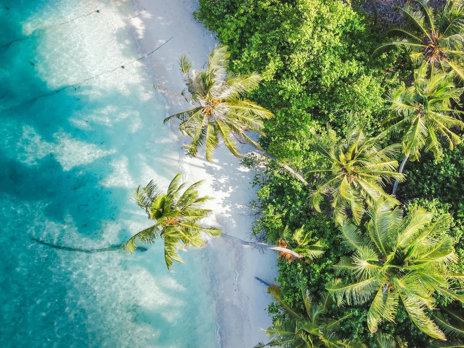 Maldives Tour Packages